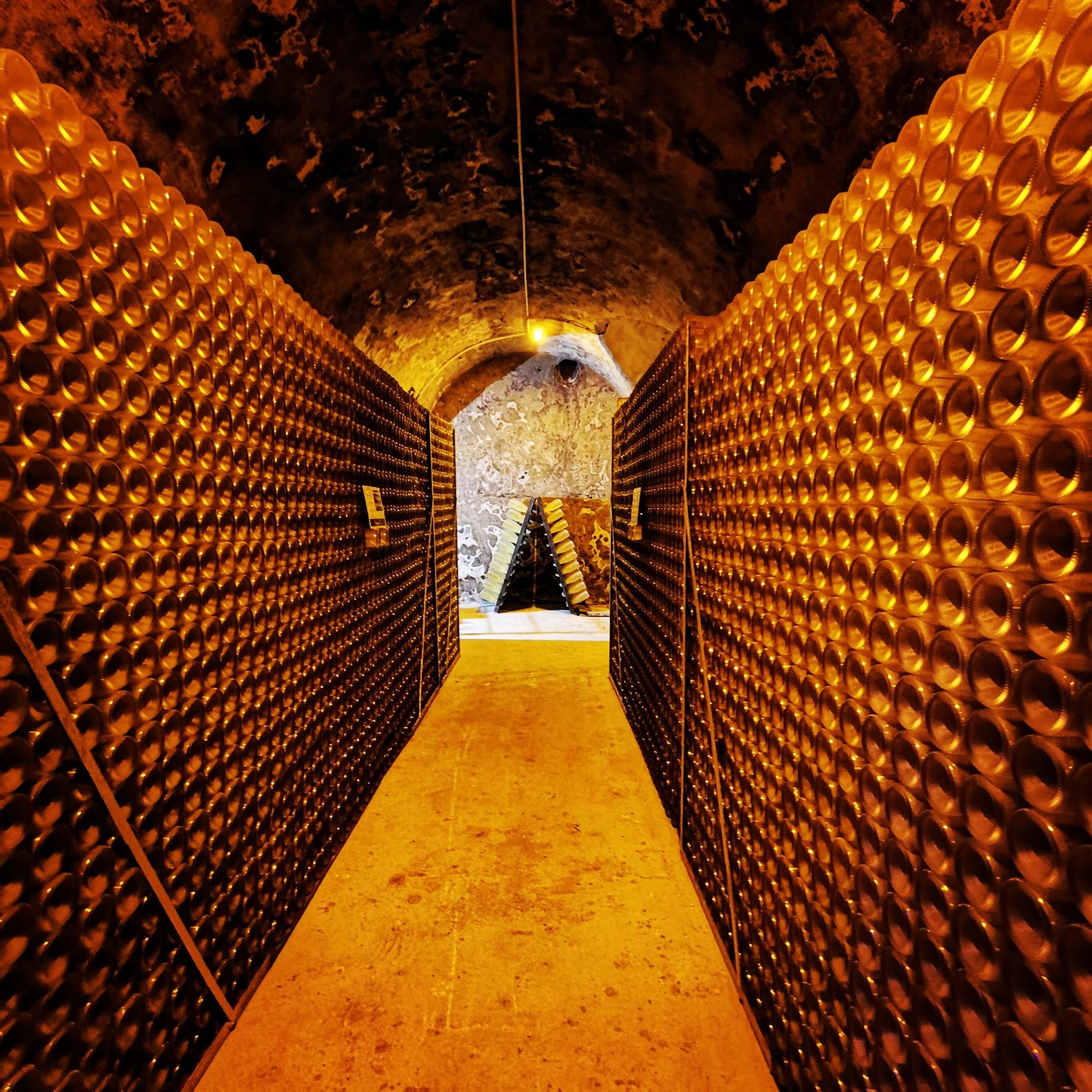 Visit the champagne cellars of Veuve Clicquot